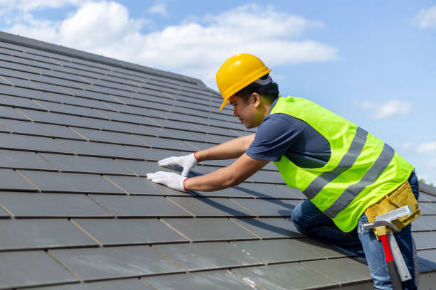 Best Roof Gutter Cleaning  in Freeland, PA